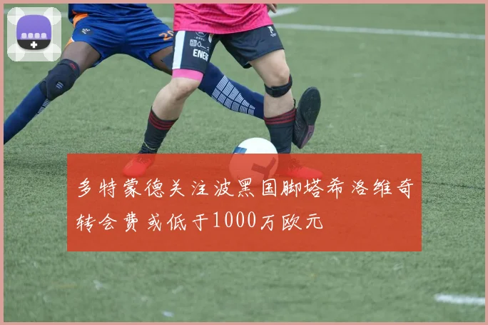 多特蒙德关注波黑国脚塔希洛维奇转会费或低于1000万欧元
