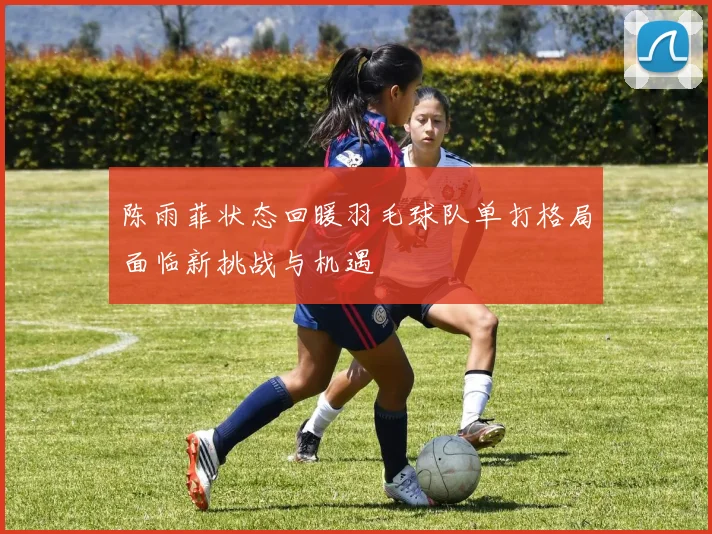 陈雨菲状态回暖羽毛球队单打格局面临新挑战与机遇