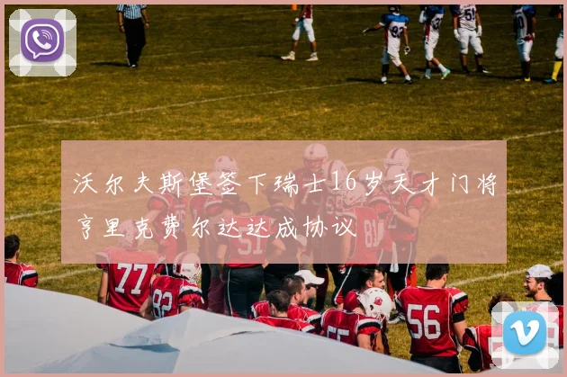 沃尔夫斯堡签下瑞士16岁天才门将亨里克费尔达达成协议